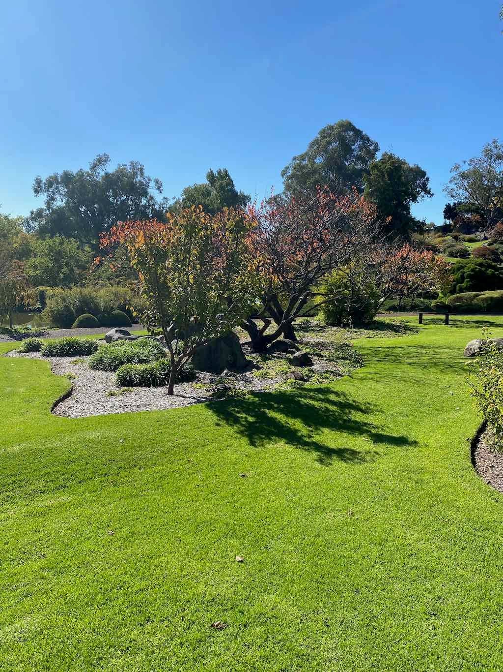 May 2023 Bathurst Mayfield Garden Tour Image -64605b65b25c4